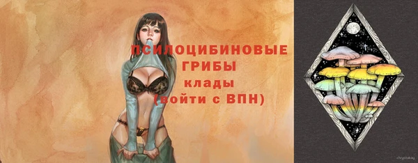 герыч Дмитров