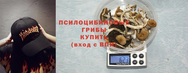 альфа пвп Дмитровск