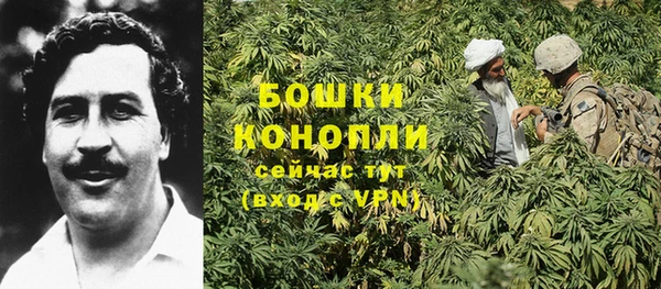 альфа пвп Дмитровск