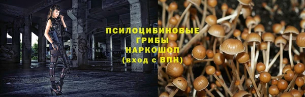 альфа пвп Дмитровск