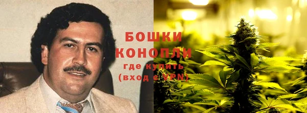 не бодяженный Дмитриев