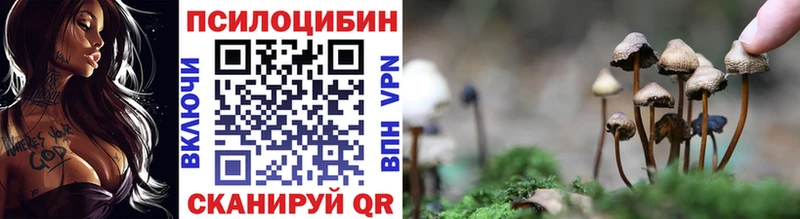 Купить  Светлый  Псилоцибиновые грибы Cubensis 